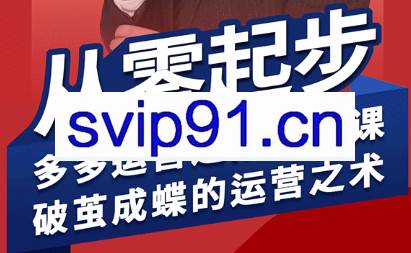 海神·拼多多运营进阶系统课（更新2026）