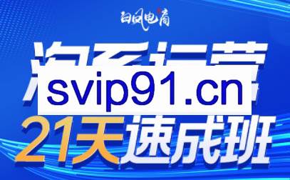 白凤电商·淘系运营21天速成班(更新4月)