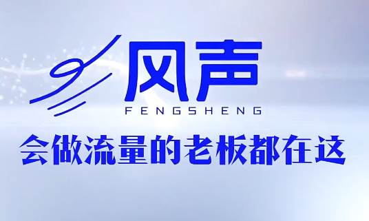董十一·风声短视频AI获客年度会员