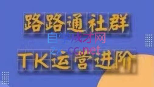 路路通·跨境TikTok全套课程(更新43期)