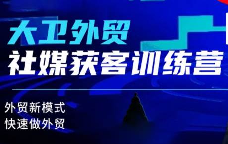 大卫老师·外贸社媒获客独家训练营(更新5月)
