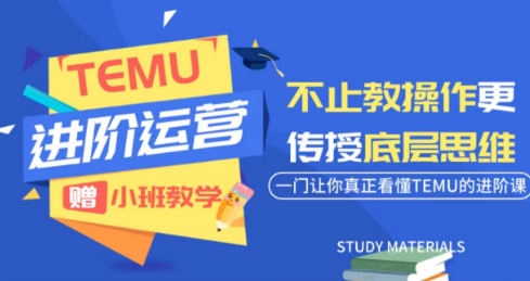阿卡林·TEMU运营课程（基础+进阶）
