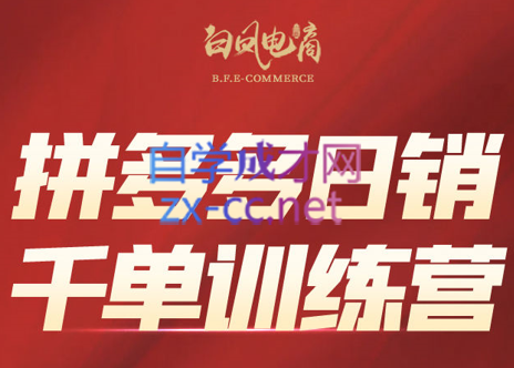白凤电商·拼多多日销千单训练营(更新9月)
